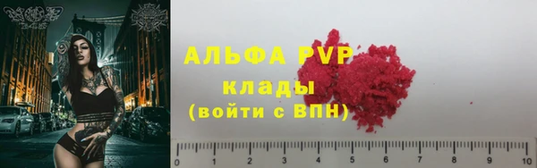 стаф Семикаракорск