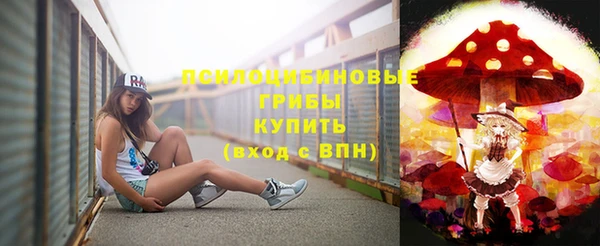 стаф Семикаракорск