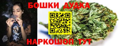 сатива Заволжье