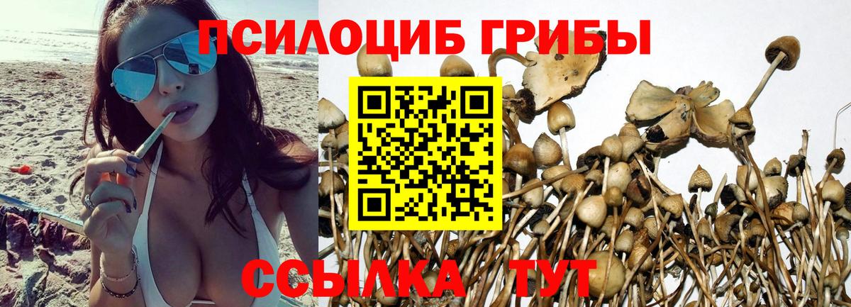 Солнечногорск  Галлюциногенные грибы прущие грибы  Псилоцибиновые грибы MAGIC MUSHROOMS  Вход с VPN 