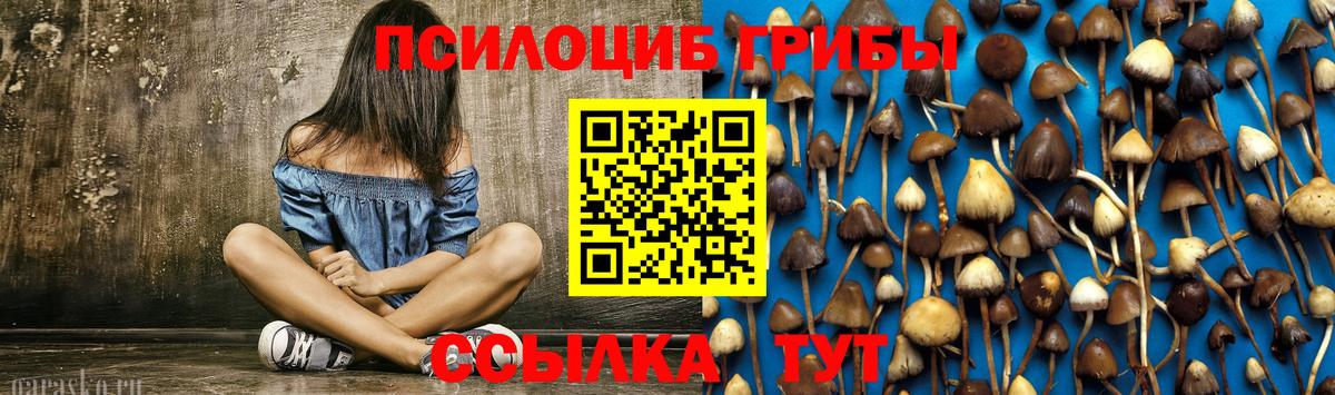 Псилоцибиновые грибы MAGIC MUSHROOMS Солнечногорск